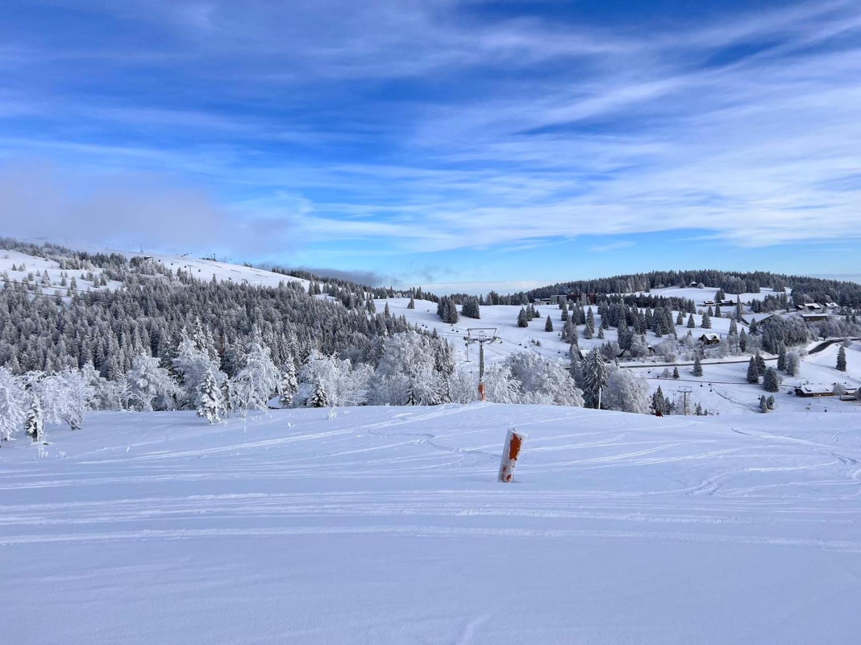 Fewo “Ruhige Momente” In Waldkirch Exteriér fotografie