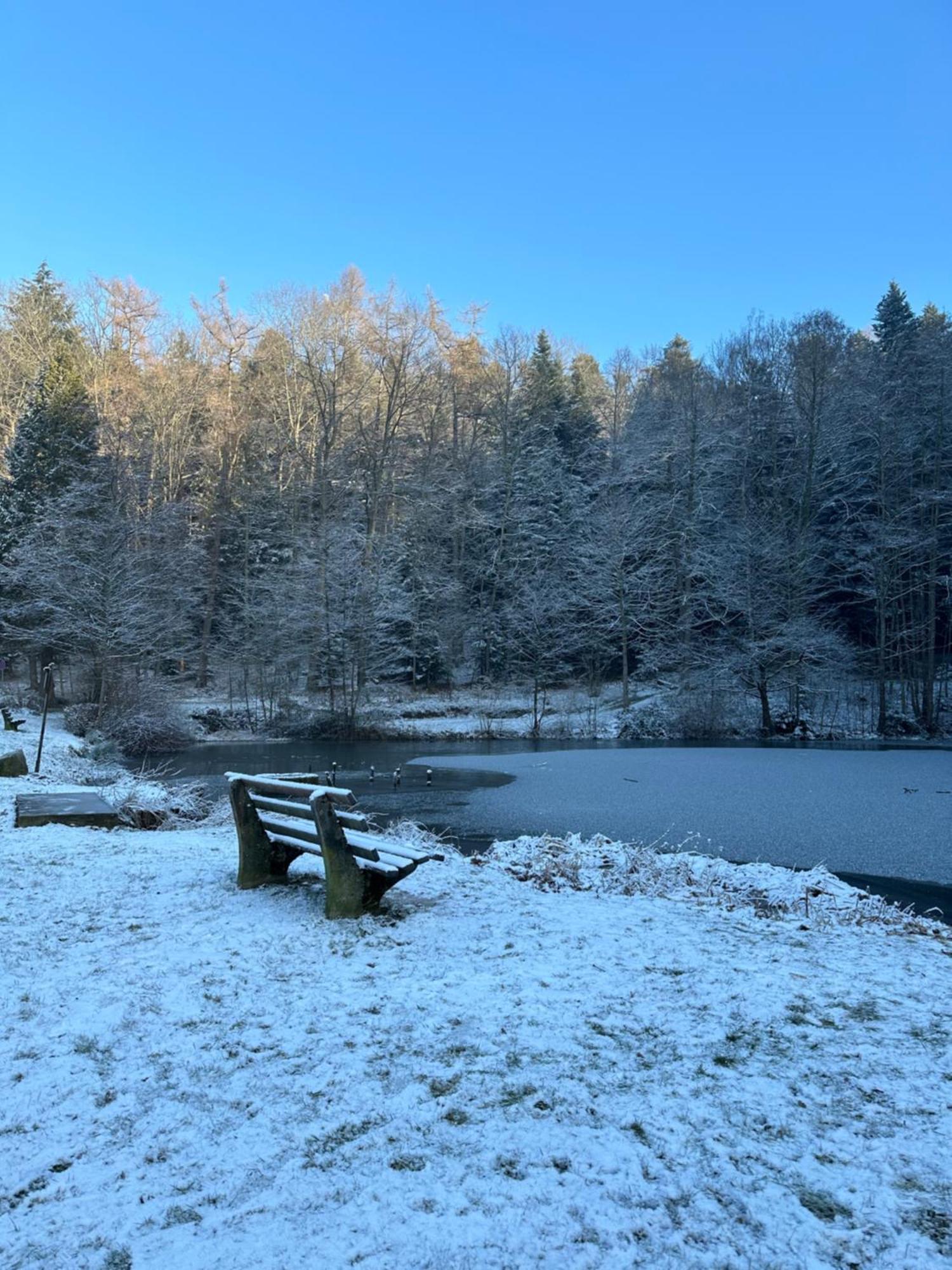 Fewo “Ruhige Momente” In Waldkirch Exteriér fotografie