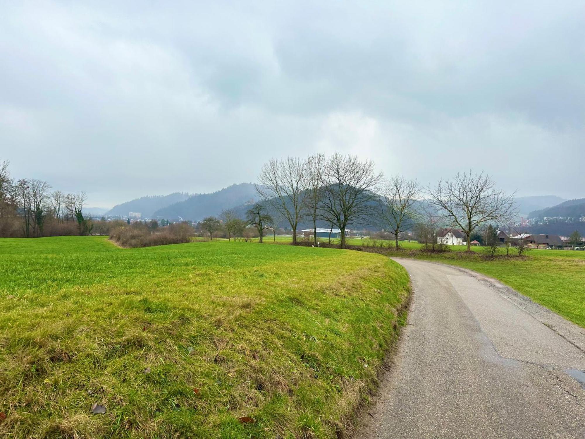 Fewo “Ruhige Momente” In Waldkirch Exteriér fotografie